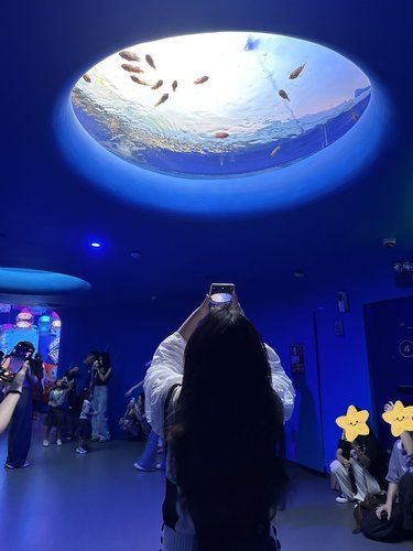 深圳拍照｜闯入梦幻海底世界这一刻太治愈了