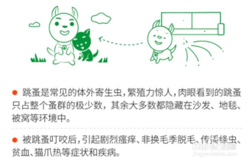 宠物预防寄生虫