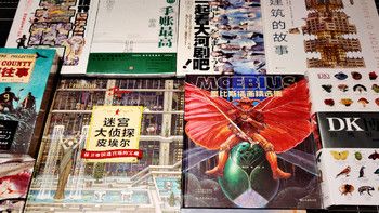 双十一书籍第一单：《菜市场鱼图鉴》+《DK博物大百科》+《墨比斯插画精选集》等12本书