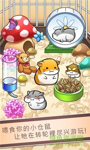小仓鼠的生活中文版 v3.3.3 安卓版 1