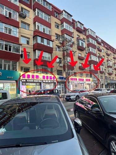 长春｜快把你喜欢的猫猫带回家吧‍⬛