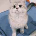 https://p0.meituan.net/userheadpicbackend/0778d426ef27ac6aa805ca034bc2b01b487895.jpg%40120w_120h_1e_1c_1l%7Cwatermark%3D0