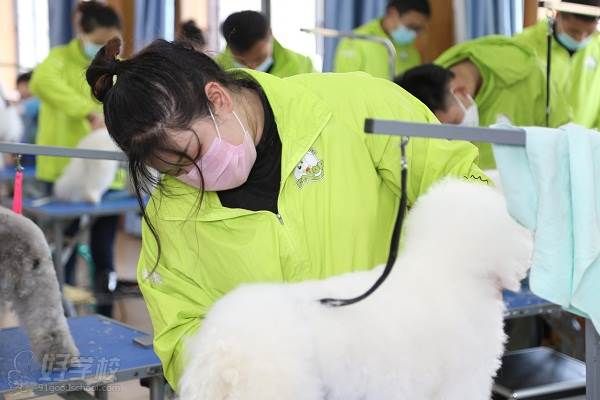 学生实操课 (1)