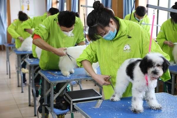 学生实操课 