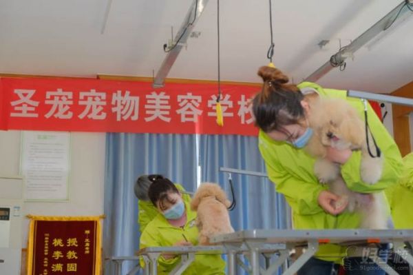 毕业考试考核 (2)