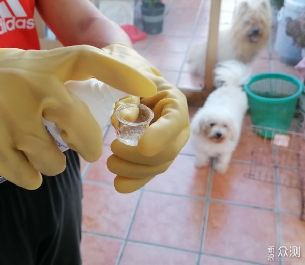 益生菌清洁护理 宠宝毛发闪亮光_新浪众测