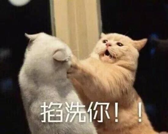 图片来自网络