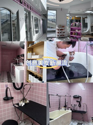 颜值超高的宠物洗护店