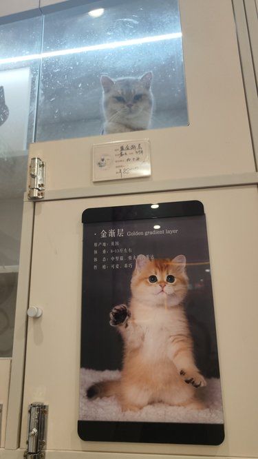 姐妹儿！你这是照骗呀！！