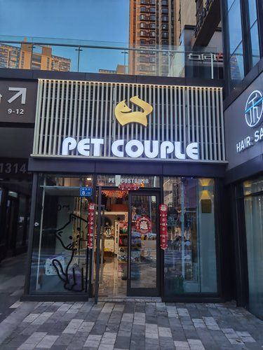 这家店给狗洗澡洗得很好