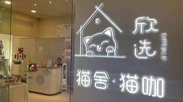 不错的自助猫舍