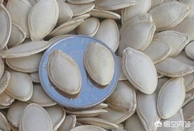 南瓜子是否具有驱虫功效？为什么？