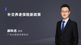 补交养老保险新政策