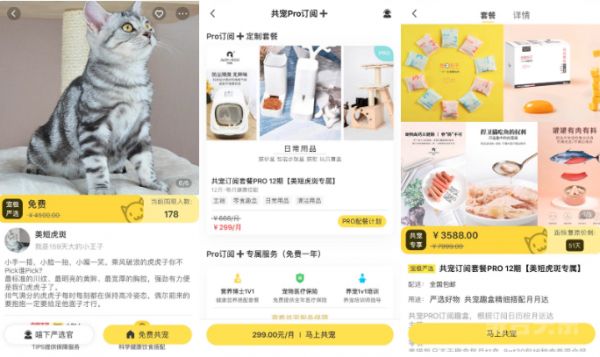宠物科技宠了「共宠APP」，凉了品牌域名？