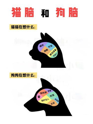 和脑袋里都在想什么？[打卡][打卡]