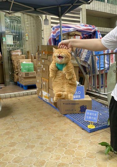 让你拿快递没让你拎老板呐