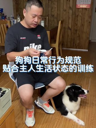 九宠阁宠物专业引导训练：为什么说主人是狗狗的终身导师，我们要教狗狗的并不是所谓的技能，而是符合真是生活状态的一种默契，只有和谐才会幸福。#边境牧羊犬 #宠物引导师 #宠物线上引导课程 #宠物上门引导课程