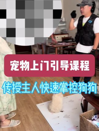 九宠阁宠物专业引导训练：九宠阁全新宠物引导课程，整个过程包含深入了解狗狗行为前因后果，综合判断行为逻辑，确定问题根源并且演示训练方法，目标就是以主人掌控狗狗为前提。#专业的事情交给专业人去做 #宠物引导师 #宠物线上引导课程 #宠物上门引导课程