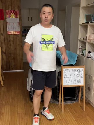九宠阁宠物专业引导训练：九宠阁宠物全新引导课程，提供的服务是从根本上解决问题的服务哦。#宠物引导师 #宠物上门引导课程 #宠物线上引导课程
