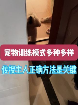九宠阁宠物专业引导训练：九宠阁宠物引导课程主打现场评估狗狗情况，现场确定问题根源，现场传授主人正确解决问题的办法。#宠物引导师