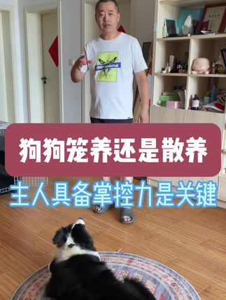 九宠阁宠物专业引导训练：选择笼养还是散养，要看主人是否具备选择的权利，主人没有掌控力，就不能给狗狗树规矩，所以我们宠物引导师的工作就是传授主人训练逻辑和方法，同时纠正主人原有的训练习 惯。#宠物引导师 #宠物上门引导课程 #宠物线上引导课程 #专业的事情交给专业人去做