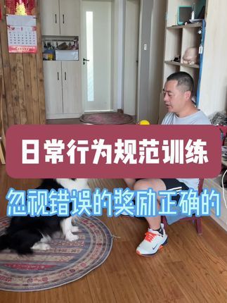 九宠阁宠物专业引导训练：技能训练不靠打骂，相反的是狗狗做错了还要当作没有看到，因为狗狗是画面记忆，如果在做对的时候奖励，狗狗就只需要记住一个画面，如果在狗狗做错的时候惩罚，那狗狗就需要记住两个画面。#宠物引导师 #宠物上门引导课程 #宠物线上引导课程