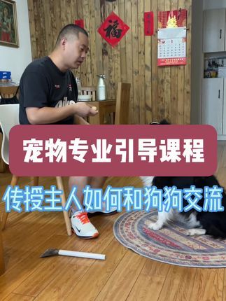 九宠阁宠物专业引导训练：真正的宠物引导训练，就是帮助主人快速有效的和自己的狗狗产生有效交流，真正意义上的掌控自己的狗狗！#宠物引导师 #宠物引导训练课程 #宠物上门引导课程 #宠物远程引导课程