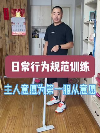 九宠阁宠物专业引导训练：宠物服从训练，就是要让狗狗服从于主人，狗狗会对掌握正确训练逻辑的那个人产生服从性，主人不要轻易把这个机会转交给他人哦。#如何训练小狗 #宠物引导师 #宠物线上引导课程 #宠物上门引导课程