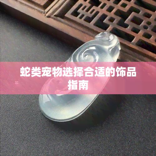 蛇类宠物选择合适的饰品指南