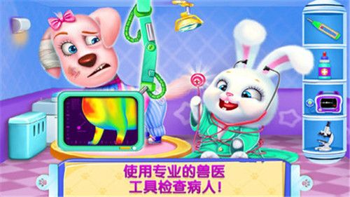 急诊宠物医生