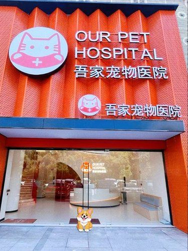 毛孩儿开心 大人省心❗️就在吾家