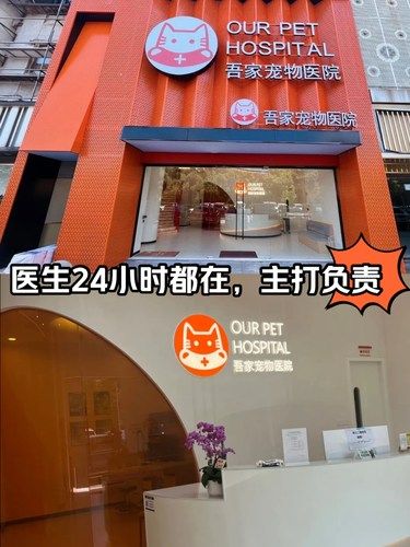 吾家24小时宠物医院-专业医生主打负责到底！