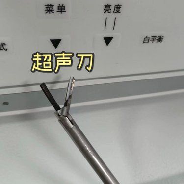 猫咪绝育误区-超声刀和微创