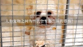 人和宠物之间为什么会有那么深的感情？
