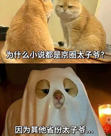 为什么小说都是京圈太子爷