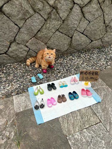 拜托我真的超会做生意谁能拒绝老板的微笑服务呢