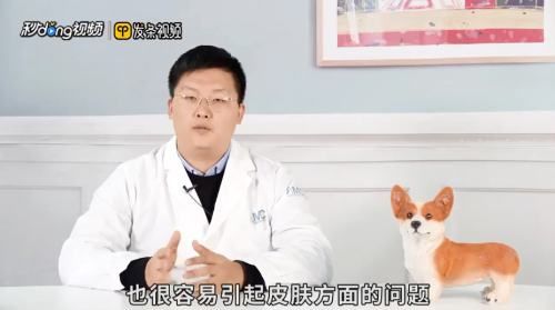 仓鼠会游泳吗