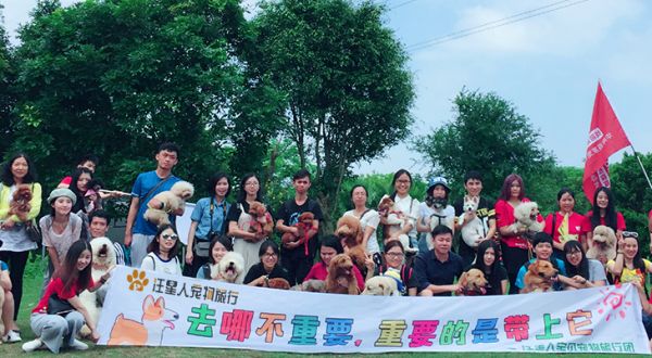 汪星人宠物旅行：带上主子一起去旅行~