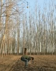 马犬挑战跳高5米取球，整个过程太燃了，看的很过瘾！