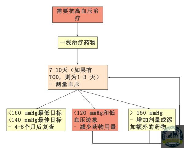 640 (5).png