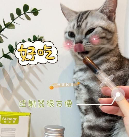 猫咪皮下注射图解——宠物健康必备技能（轻松学会给猫咪皮下注射）
