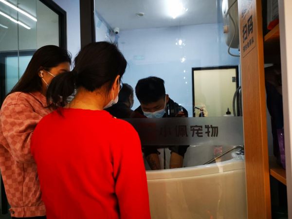 小佩宠物的运营支持做到了吗？