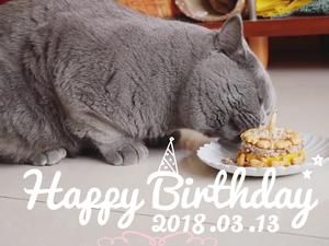 猫咪蛋糕——猫的生日蛋糕的做法 步骤8