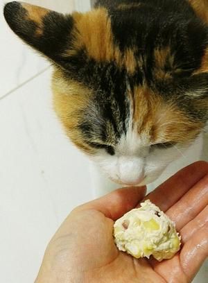猫咪食谱~玉米鸡肉丸子的做法 步骤8
