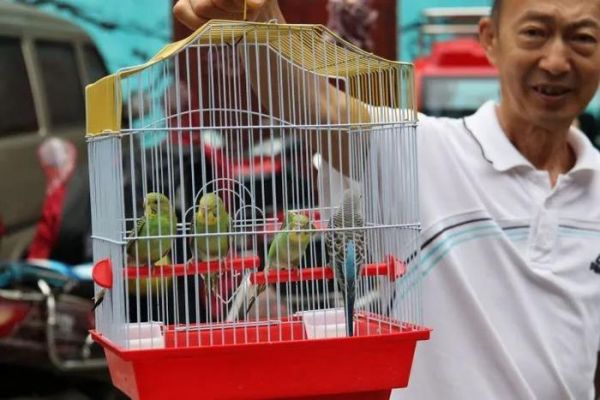 南充：新宠物市场划分4个功能区！