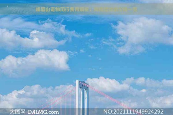 峨眉山宠物同行费用解析：狗狗陪伴游价格一览