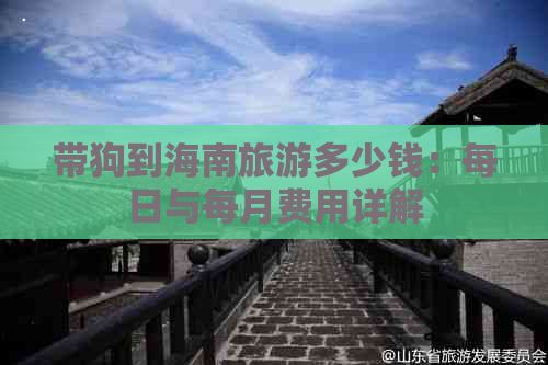 带狗到海南旅游多少钱：每日与每月费用详解