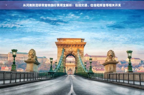 从河南到昆明带宠物旅行费用全解析：包括交通、住宿和疫苗等相关开支