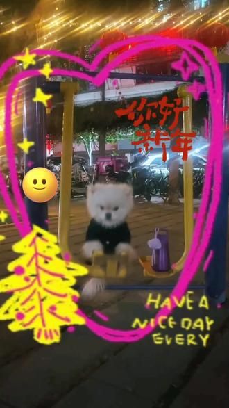 #宠物搞笑 #宠物健身 #遛狗 宠物也要健身️