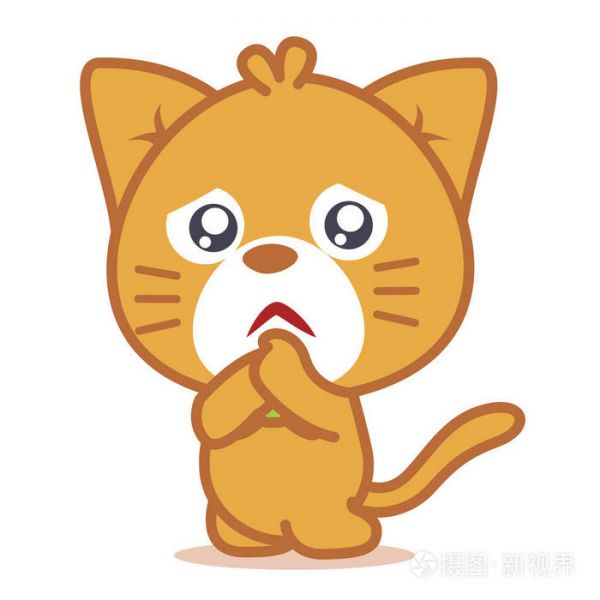 宠物猫训练技巧_宠物猫技巧训练图片_宠物猫技巧训练大全